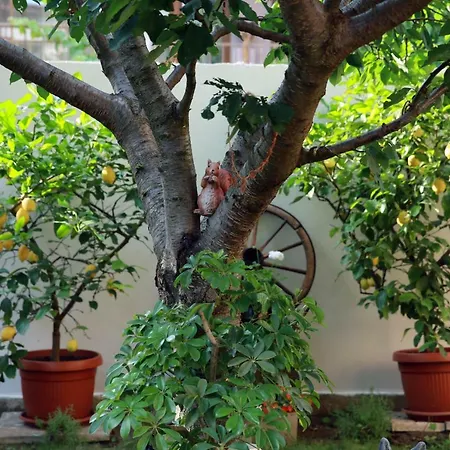 Ivanovi Pensionat 3*