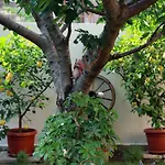 Ivanovi Guest house 3*
