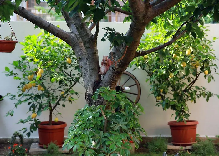 Ivanovi Vendégház 3*